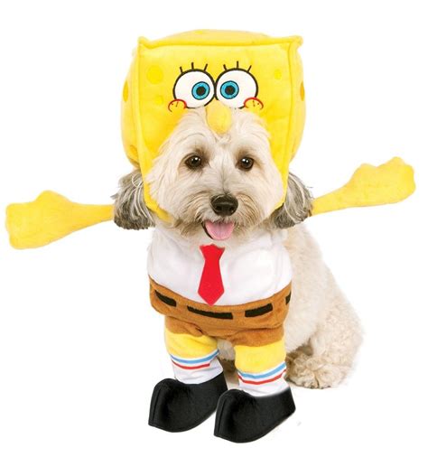 Nickelodeon Spongebob Squarepants Pet Costume - Walmart.com