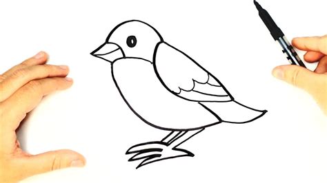 Basic Bird Drawing | Free download on ClipArtMag