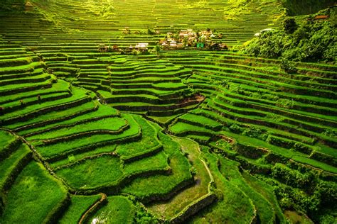 Las impresionantes terrazas Ifugao Rice de The Philippine Cordilleras