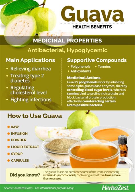 Pin by Izumi X on infographic | Guava benefits, Guava health benefits, Guava