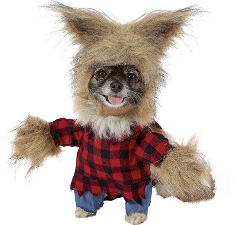 20+ Super-Cute Halloween Costumes for Chihuahuas - Hey, Djangles.