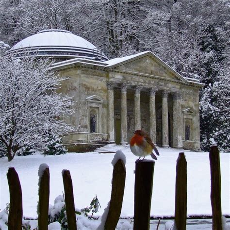 A robin in the gardens of Stourhead. Winter House, Winter Garden ...