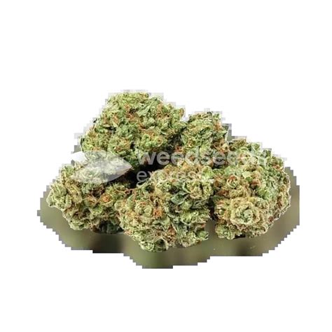 ᐅ Apple Fritter seeds • Feminized • Weedseedsexpress