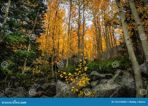 Colorado Fall Season at Bear Lake in Rocky Mountain National Park Stock ...