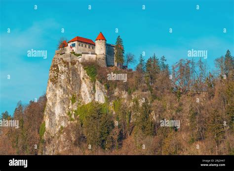 Bled castle is the oldest castle in Slovenia and one of its most famous landmarks dating back to ...