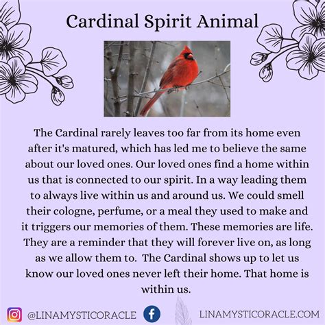 Cardinal Spirit Animal | Cardinal Spiritual Meaning | Spirit animal ...