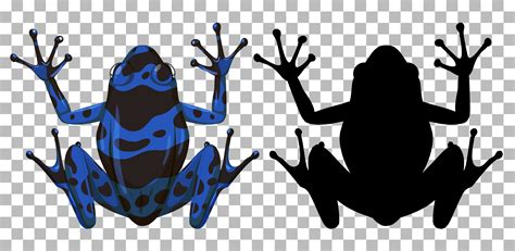 Blue poison dart frog with its silhouette on transparent background ...