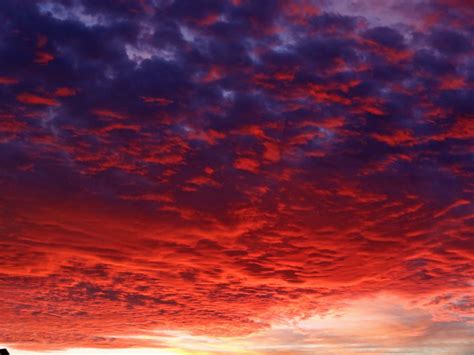 Free photo: Red Sky - Nature, Red, Sky - Free Download - Jooinn