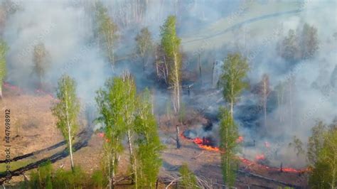 Wideo Stock: Air pollution caused by forest fire. Clouds of smoke above ...