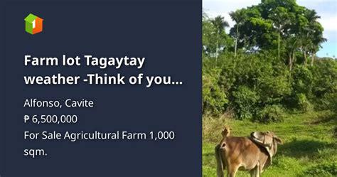 Farm lot Tagaytay weather -Think of your Retirement and Investment [Lot ...