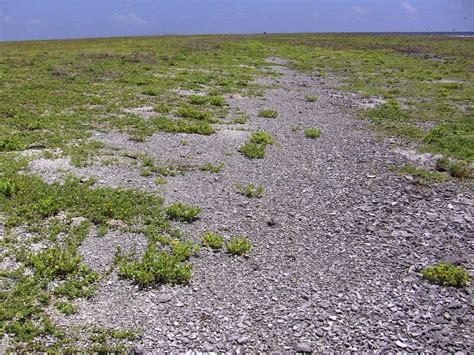 Amelia Earhart’s Lighthouse on Howland Island | Amusing Planet