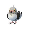 Pidove (Pokémon GO) - Best Movesets, Counters, Evolutions and CP