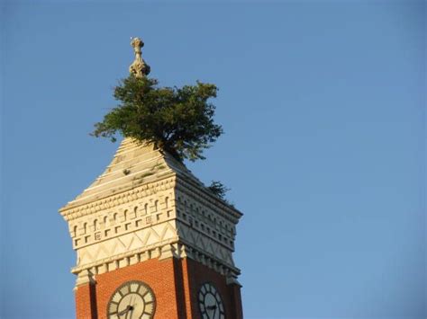 Greensburg, Indiana Courthouse | Roadside attractions indiana, Indianapolis indiana, Indiana