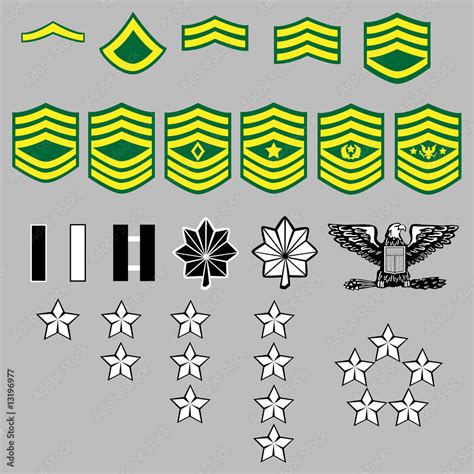US Army rank insignia for officers and enlisted in vector Stock-Vektorgrafik | Adobe Stock