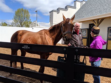 Churchill Downs Kentucky Derby Museum Lousiville, KY (32) - No Home ...