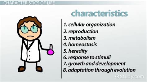 👍 8 characteristics of all living things. Characteristics of Living Things. 2019-02-03