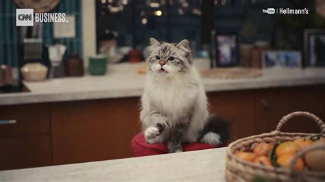 From Oreos and Kardashians to Hellman's 'mayo cat': Watch the 2024 Super Bowl ads