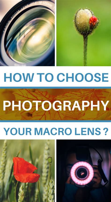 Best macro lens in 2020 Which one to choose and how? A complete guide | Macro photography tips ...