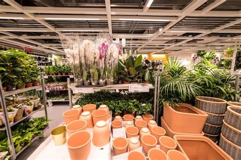 Premium Photo | View of potted plants in greenhouse