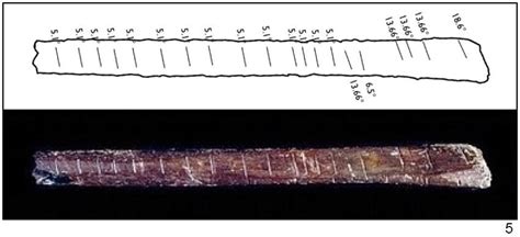 -the Lebombo bone (https://trueddotorg.wordpress.com/blog/, downloaded... | Download Scientific ...