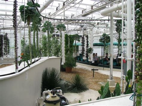 This was the Disney Hydroponic set up. They are doing some really cool ...