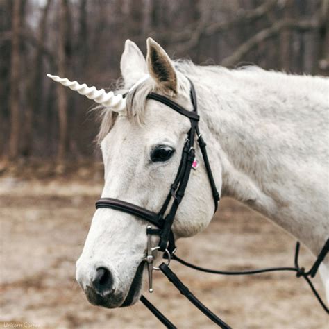 Corno unicorno per cavalli pony / Costume unicorno equestre | Etsy