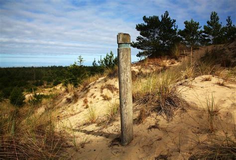 5 places to go hiking in the beautiful Oregon Dunes - oregonlive.com