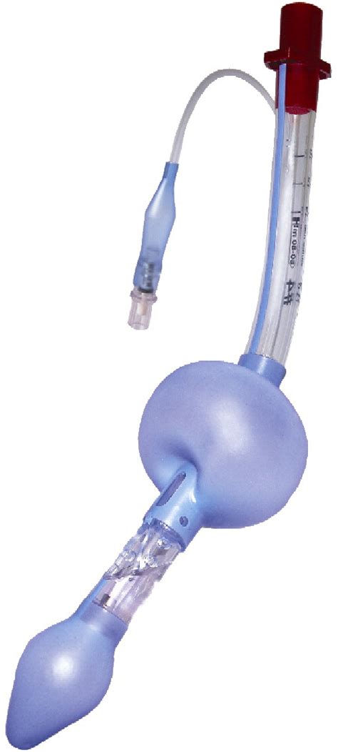 The laryngeal tube device: a simple and timely adjunct to airway management - The American ...