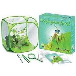 Praying Mantis Habitat Kit - FindGift.com