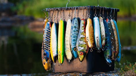 TOP 13 Best Trout Lures In 2023 - Fishing Sensei