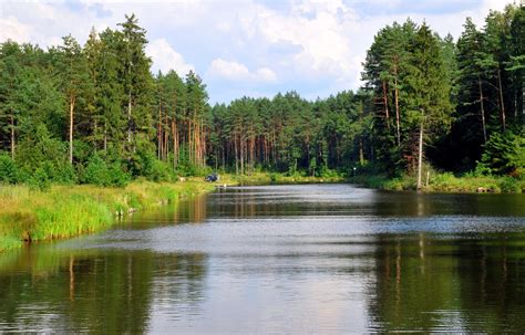 Rivers, Forests, Lithuania HD Wallpaper