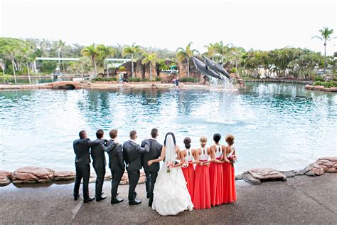 Sea World | Queensland Wedding and Bride Magazine