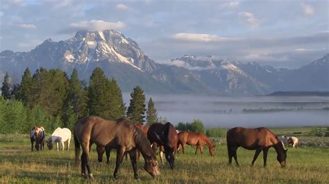 Triangle X Ranch - Jackson Hole, Wyoming - YouTube