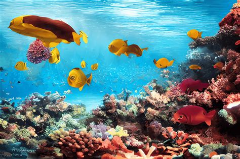 Coral Reef Photography with Extreme Details and Sun Ray · Creative Fabrica