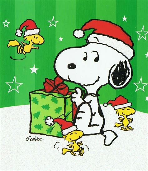 Pin by Tammy B on Snoopy | Snoopy, Snoopy christmas, Snoopy cartoon