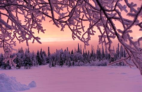 Pink Winter Sky Wallpapers - Wallpaper Cave