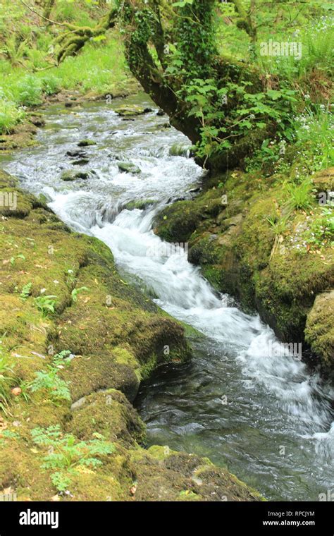 Lydford Gorge, River Stock Photo - Alamy