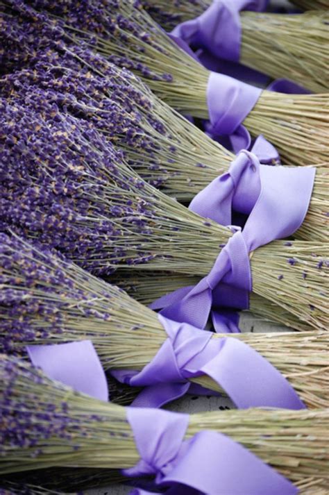 Lavender Bundles | Dried lavender flowers, Lavender bouquet, Lavender flowers