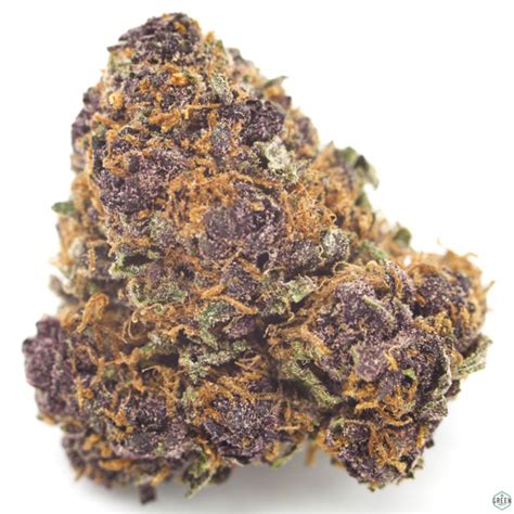 Purple Kush