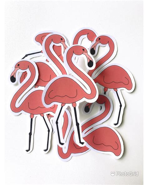 4 Piece Flamingo Sticker Set | Etsy in 2021 | Sticker set, Vinyl sticker paper, Stickers