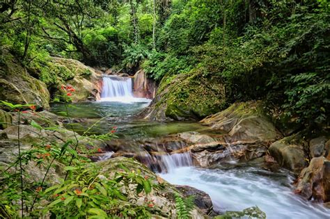 OFF THE BEATEN TRACK: Colombia / Minca