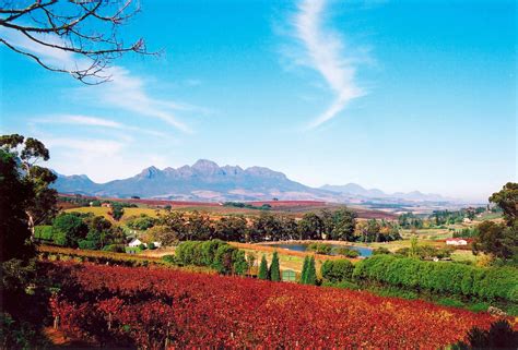 Cape - Winelands | South africa tours, Africa travel, Africa tour