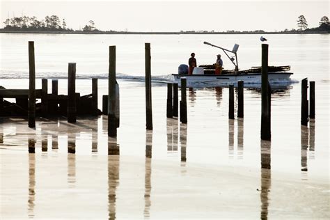 Water quality improves, pollution falls in the Chesapeake Bay | Chesapeake Bay Program