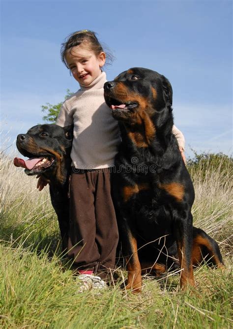 Little Girl And Rottweilers Royalty Free Stock Photos - Image: 7218958