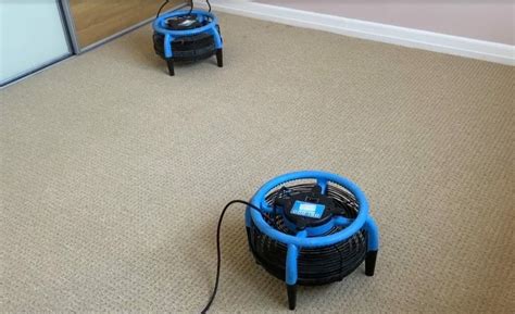 How long will my carpet take to dry after professional cleaning? — Art of Clean