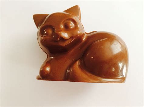 Chocolate cat | Chocolate cat, Chocolate, Cats