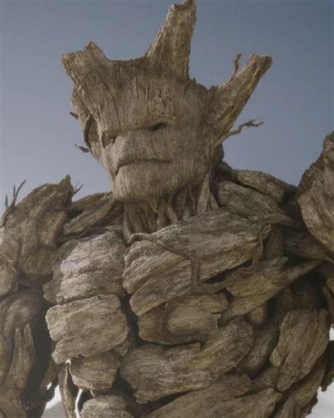 Hub:Groot | Marvel Cinematic Universe Wiki | Fandom