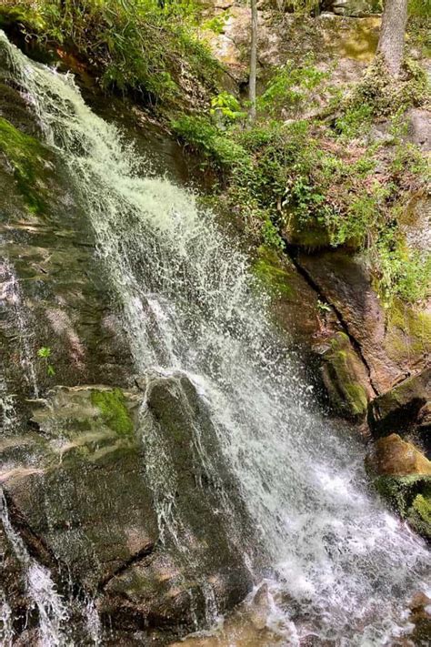 Deep Creek Hiking Trails (Great Smoky Mountains) - Champagne Tastes®