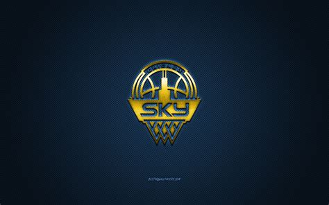 Download wallpapers Chicago Sky, American basketball club, WNBA, yellow ...