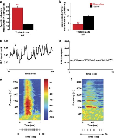 Behavioral effects of bicuculline microinjections within the ventral... | Download Scientific ...